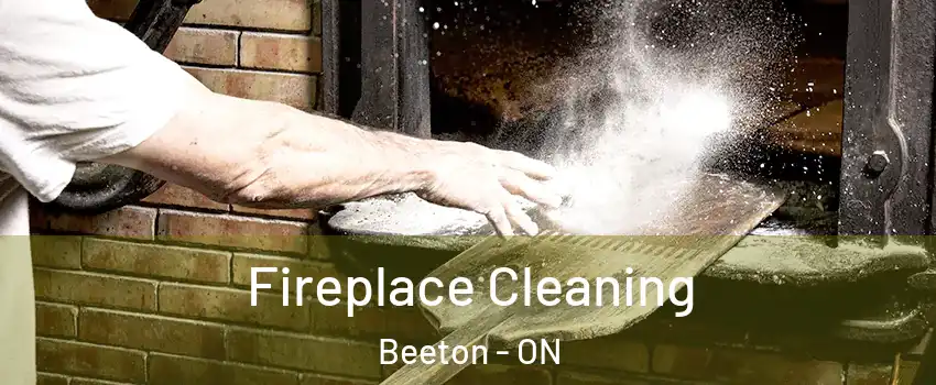  Fireplace Cleaning Beeton - ON