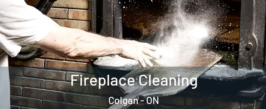  Fireplace Cleaning Colgan - ON