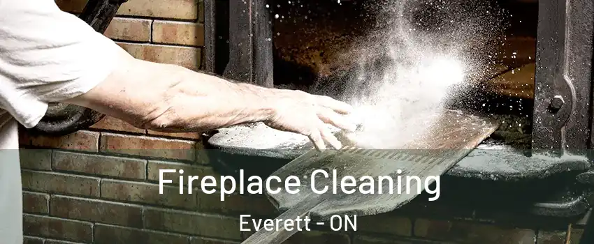  Fireplace Cleaning Everett - ON