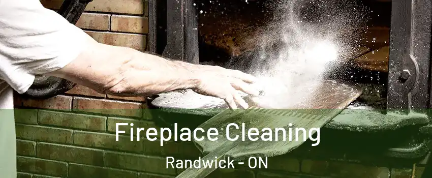  Fireplace Cleaning Randwick - ON