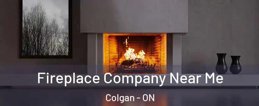  Fireplace Company Near Me Colgan - ON