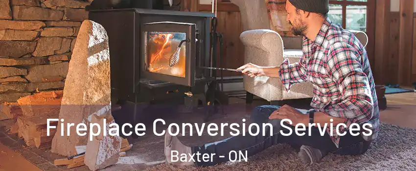  Fireplace Conversion Services Baxter - ON
