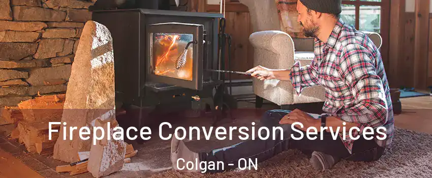  Fireplace Conversion Services Colgan - ON