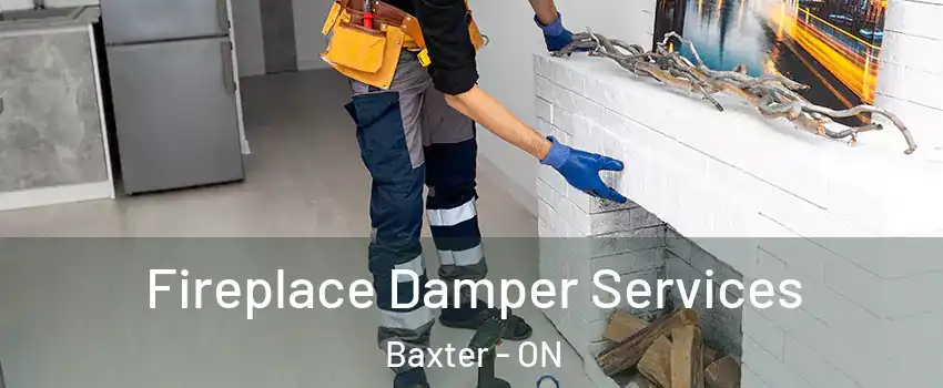  Fireplace Damper Services Baxter - ON