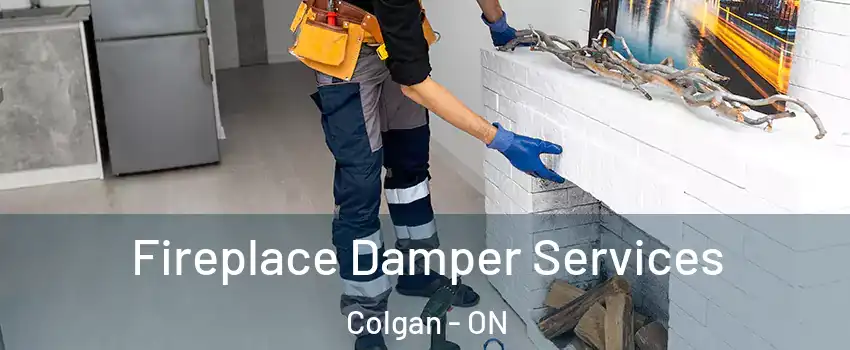  Fireplace Damper Services Colgan - ON