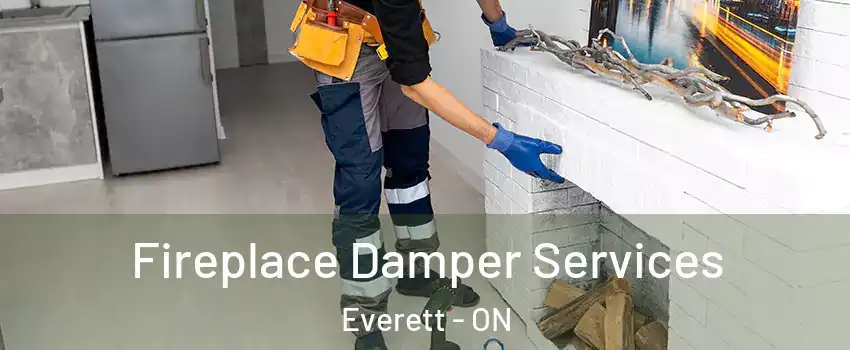  Fireplace Damper Services Everett - ON