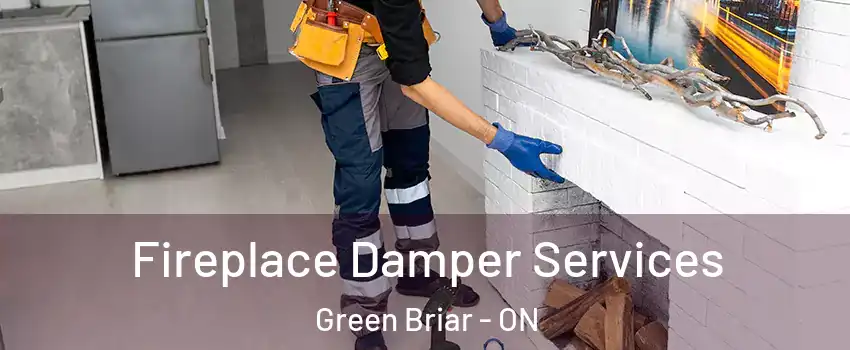  Fireplace Damper Services Green Briar - ON