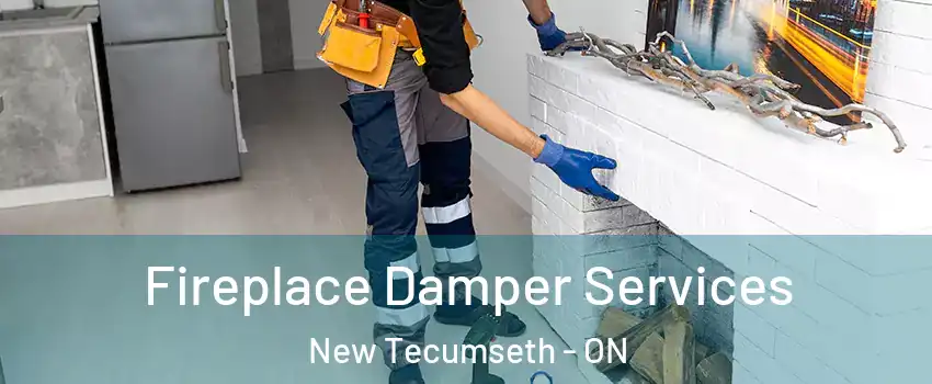  Fireplace Damper Services New Tecumseth - ON
