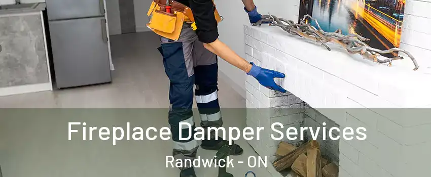  Fireplace Damper Services Randwick - ON