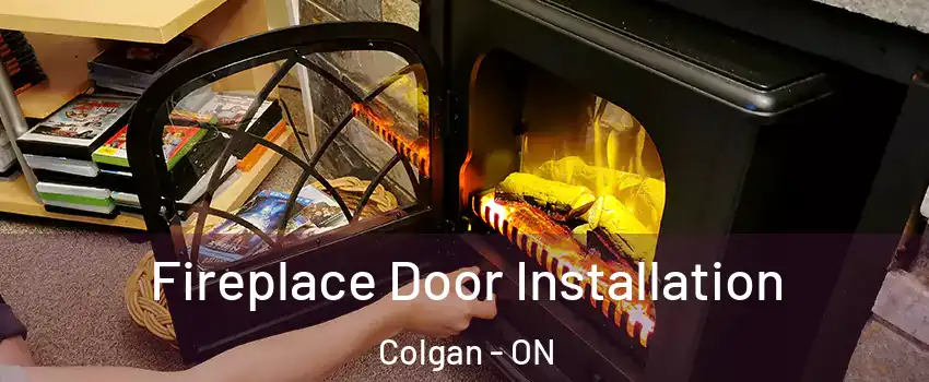  Fireplace Door Installation Colgan - ON