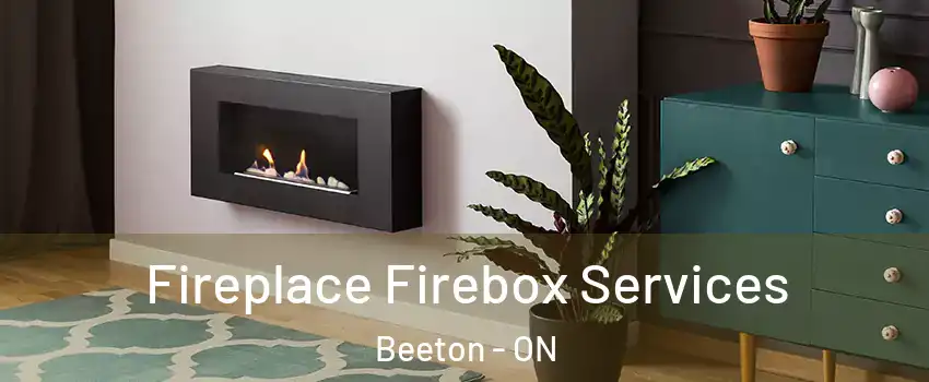  Fireplace Firebox Services Beeton - ON