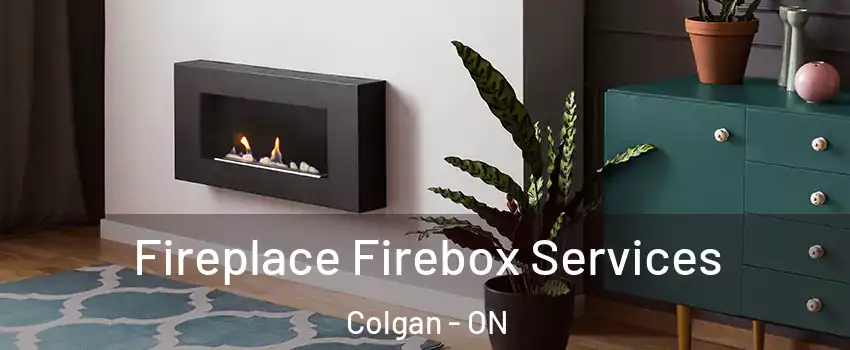  Fireplace Firebox Services Colgan - ON