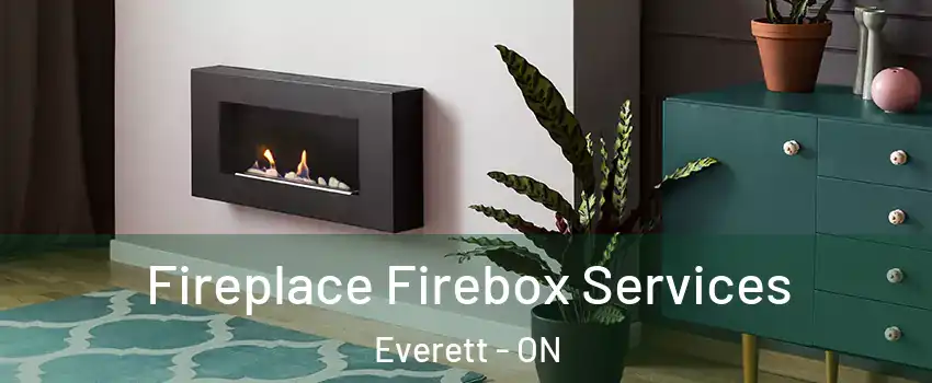  Fireplace Firebox Services Everett - ON