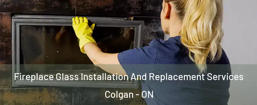  Fireplace Glass Installation And Replacement Services Colgan - ON