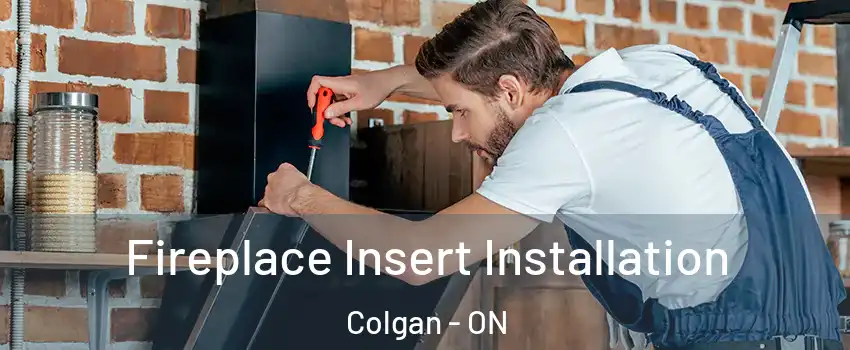  Fireplace Insert Installation Colgan - ON