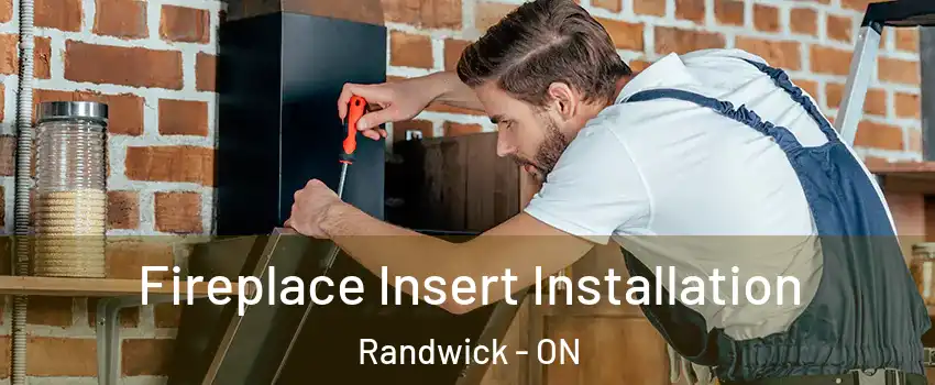  Fireplace Insert Installation Randwick - ON