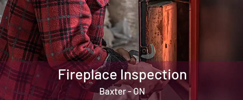  Fireplace Inspection Baxter - ON