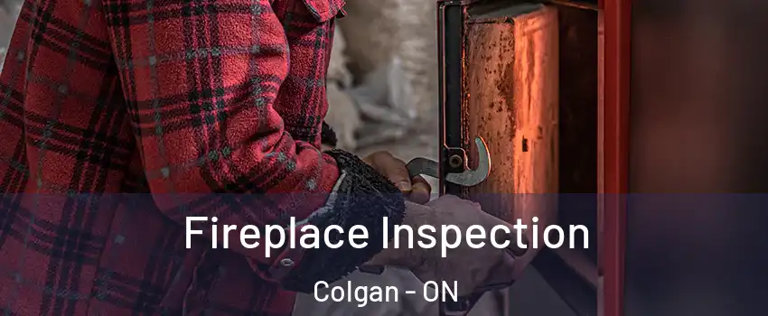  Fireplace Inspection Colgan - ON