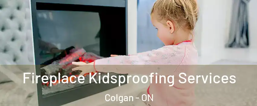  Fireplace Kidsproofing Services Colgan - ON