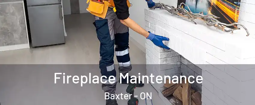  Fireplace Maintenance Baxter - ON