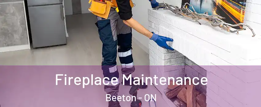  Fireplace Maintenance Beeton - ON