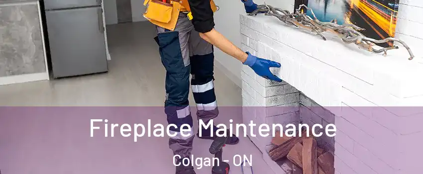  Fireplace Maintenance Colgan - ON