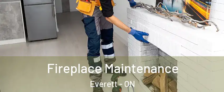  Fireplace Maintenance Everett - ON