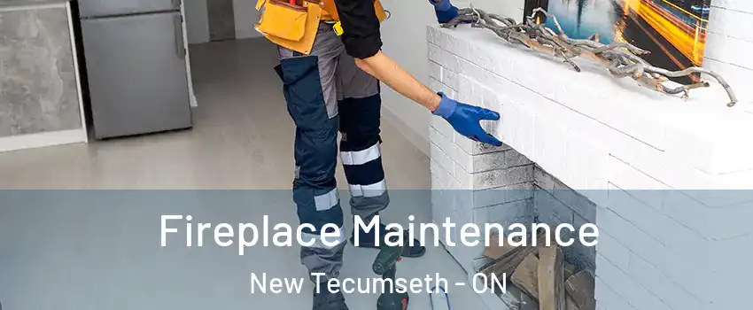  Fireplace Maintenance New Tecumseth - ON