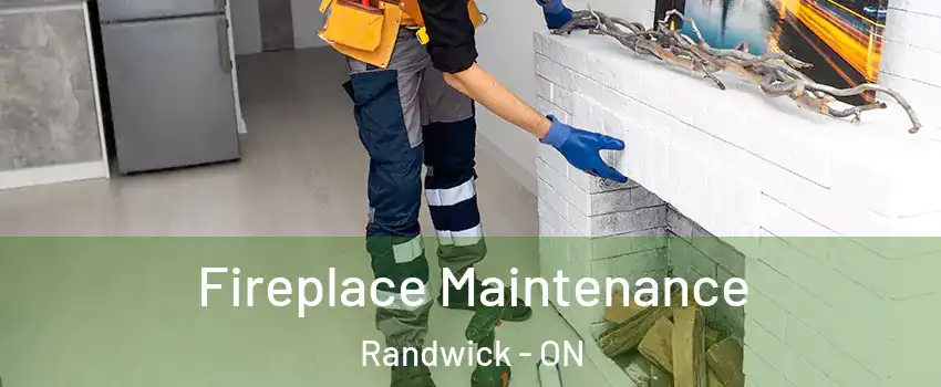  Fireplace Maintenance Randwick - ON