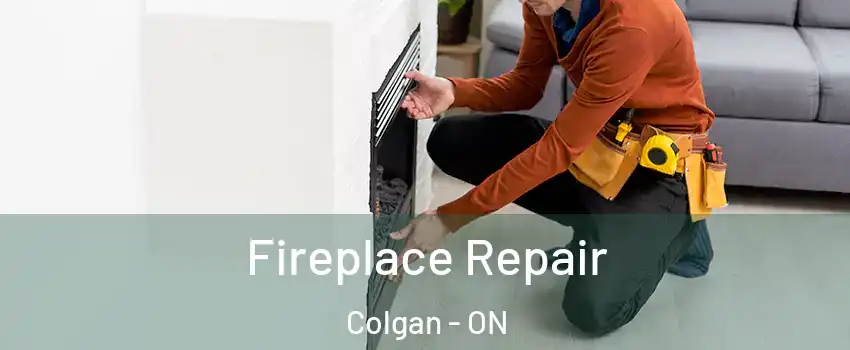  Fireplace Repair Colgan - ON