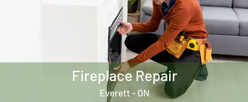  Fireplace Repair Everett - ON