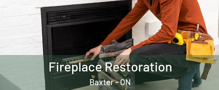  Fireplace Restoration Baxter - ON