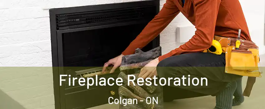  Fireplace Restoration Colgan - ON
