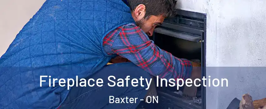  Fireplace Safety Inspection Baxter - ON