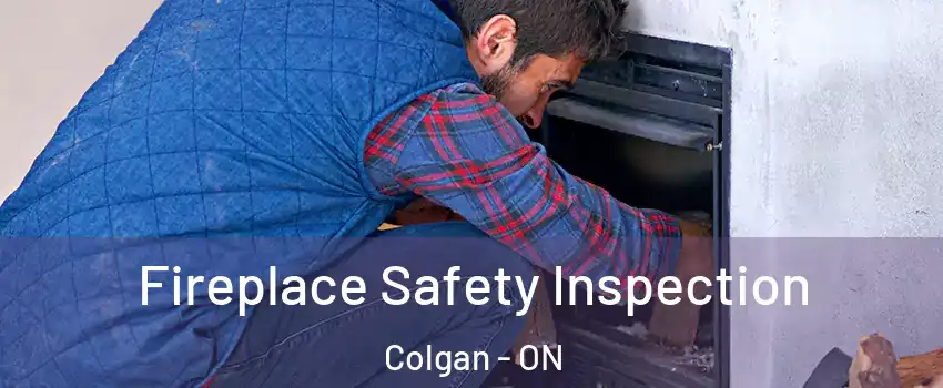  Fireplace Safety Inspection Colgan - ON