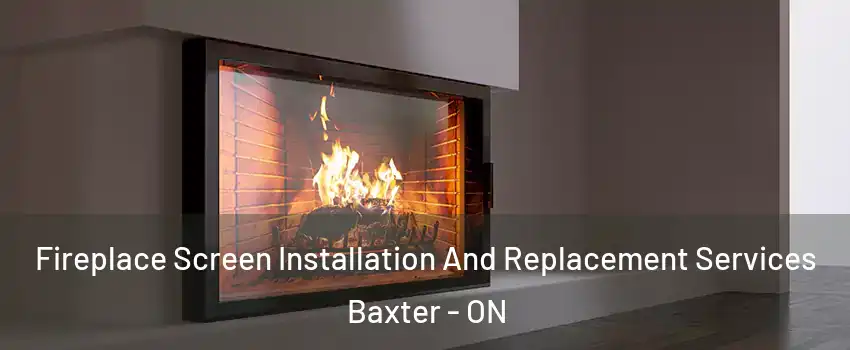 Fireplace Screen Installation And Replacement Services Baxter - ON