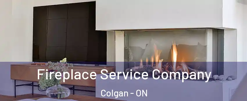  Fireplace Service Company Colgan - ON