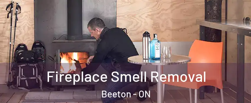  Fireplace Smell Removal Beeton - ON