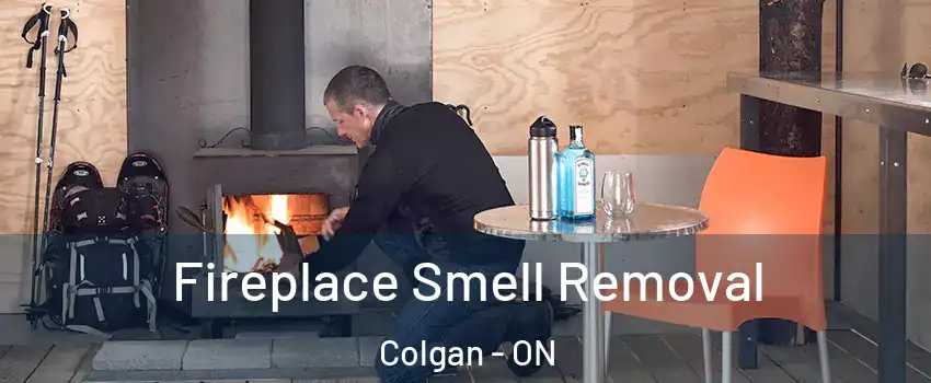  Fireplace Smell Removal Colgan - ON