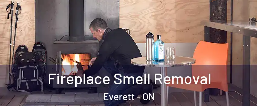  Fireplace Smell Removal Everett - ON