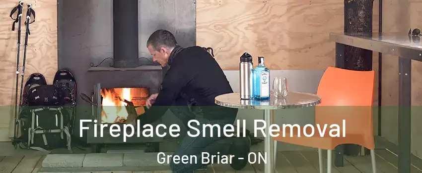  Fireplace Smell Removal Green Briar - ON