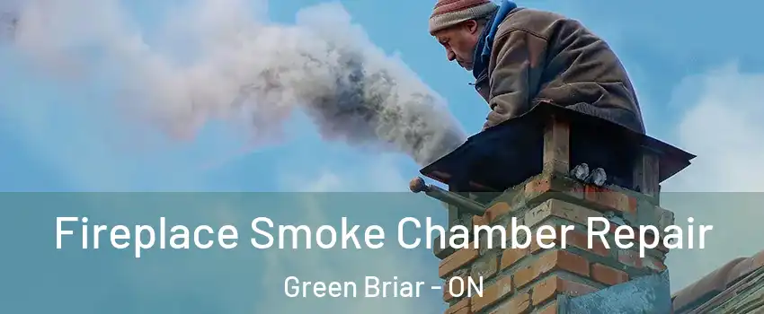  Fireplace Smoke Chamber Repair Green Briar - ON
