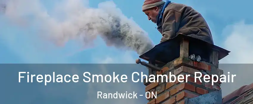  Fireplace Smoke Chamber Repair Randwick - ON