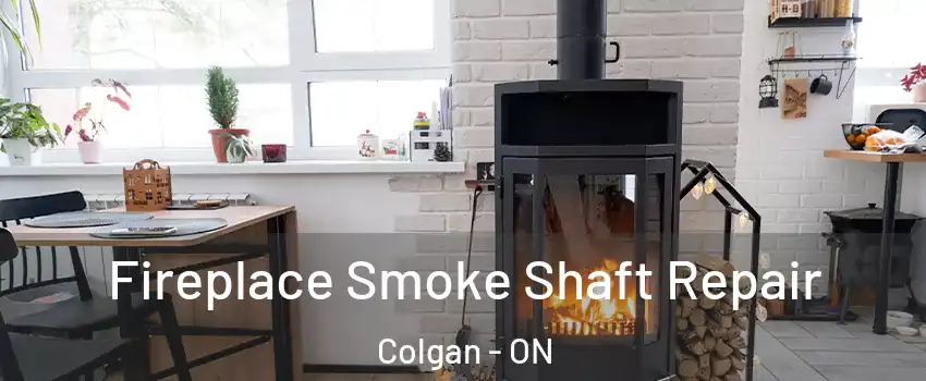  Fireplace Smoke Shaft Repair Colgan - ON