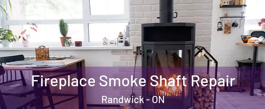  Fireplace Smoke Shaft Repair Randwick - ON