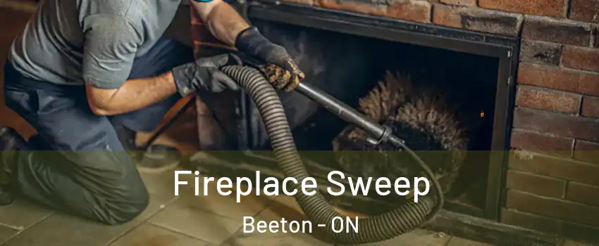  Fireplace Sweep Beeton - ON