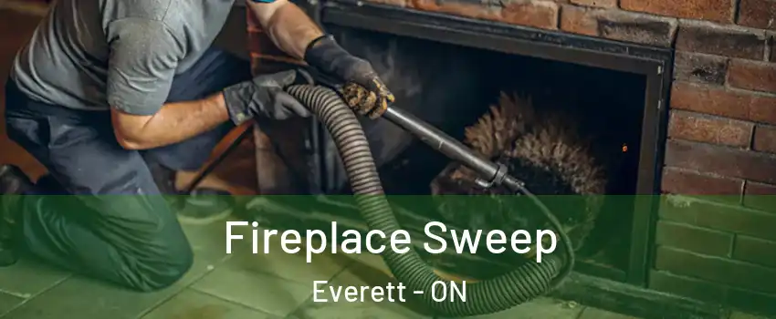  Fireplace Sweep Everett - ON