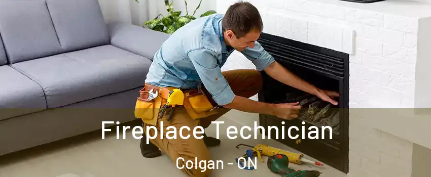 Fireplace Technician Colgan - ON
