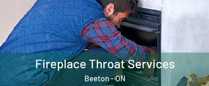  Fireplace Throat Services Beeton - ON