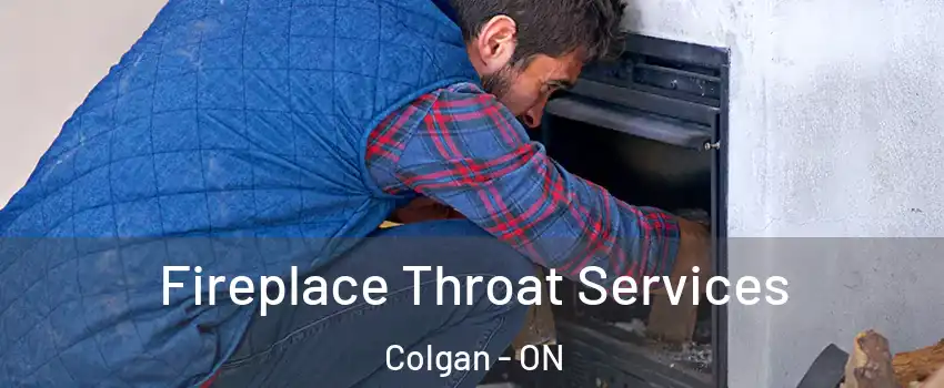  Fireplace Throat Services Colgan - ON